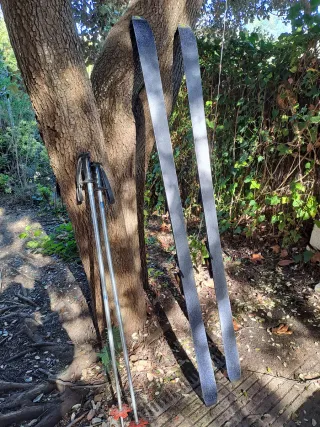 Esquís Salomon Morados con Bastones.