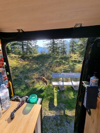 Volkswagen Crafter 2019