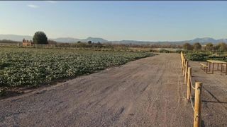 Alquiler parcela huerto ecológico