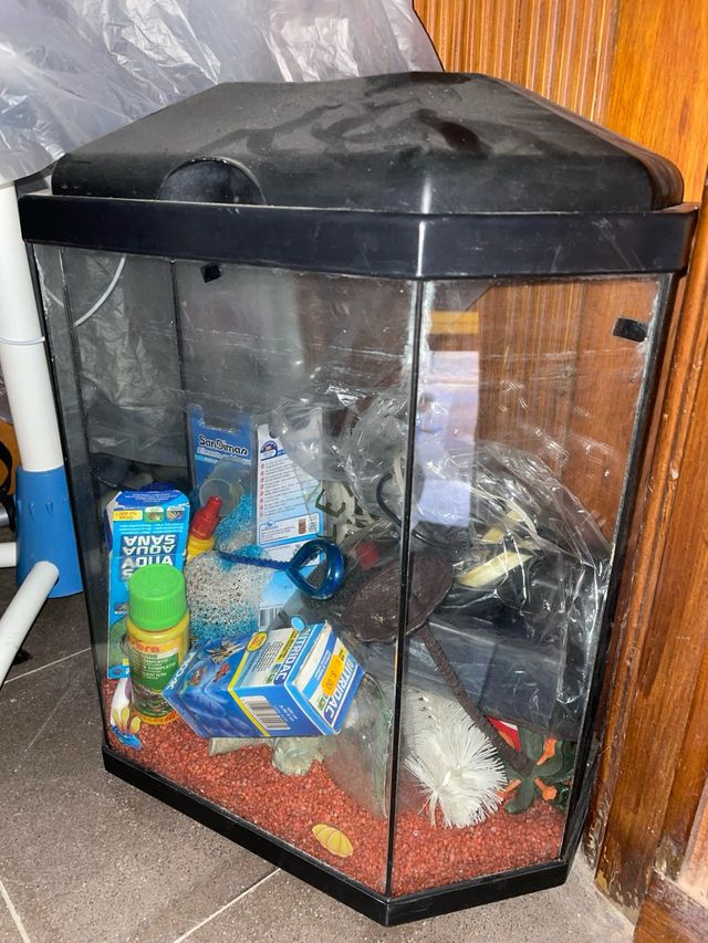 Pecera hexagonal con accesorios