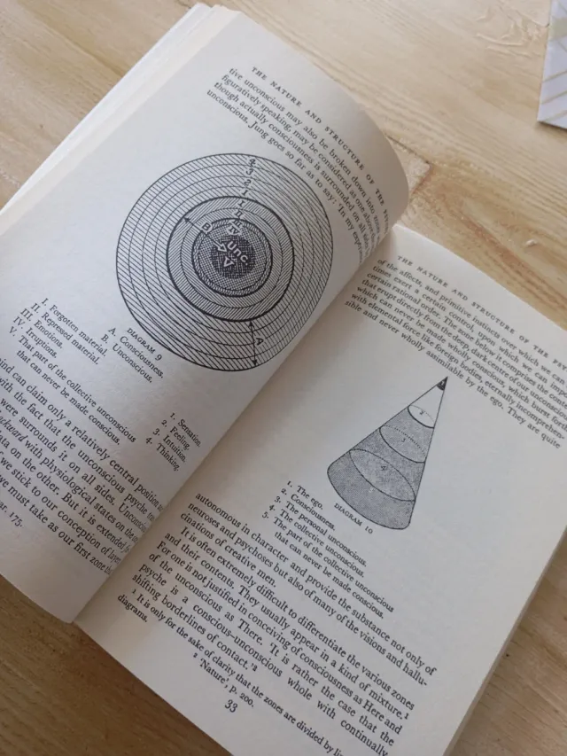 The Psychology of C.G. Jung An Introduction wit...