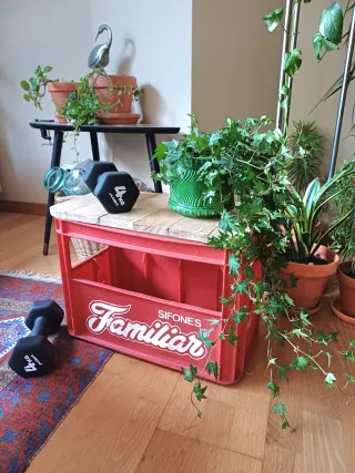 Lote 2 Cajas Sifón vintage + Tapa Madera