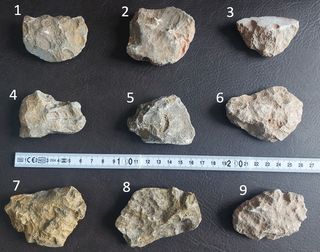 Coral Agatizado Fosil 350-400 Millones Años