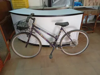 Bicicleta Shimano Morada con Cesta