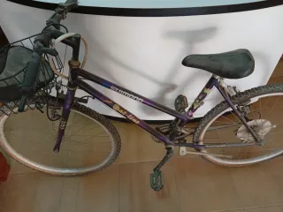 Bicicleta Shimano Morada con Cesta