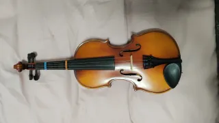 Violín 1/2 con funda y arco
