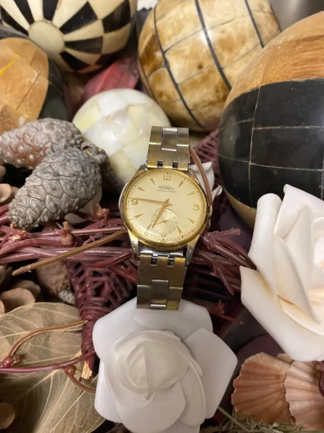 Orologio TECHNOS ACRE 15 Rubis Antimagnetico funzionante