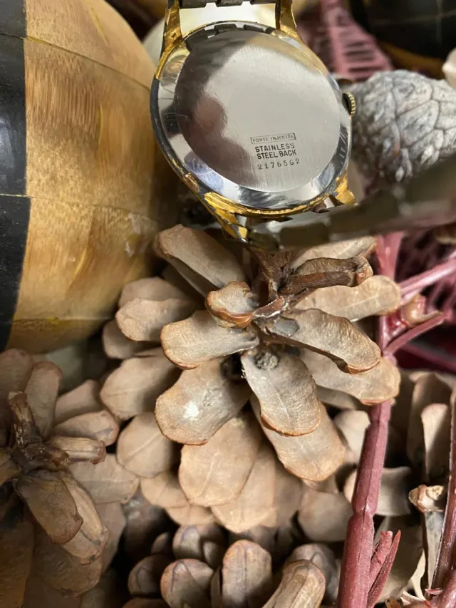 Orologio TECHNOS ACRE 15 Rubis Antimagnetico funzionante