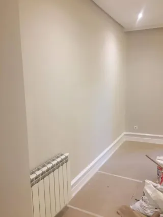 PROFESIONAL EN REFORMAS