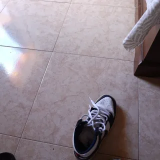 Nike SB Dunk High Zapatillas