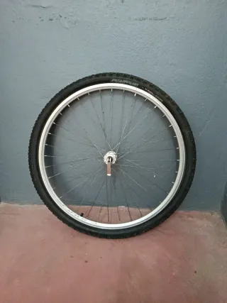 Rueda Delantera Orbea 26p