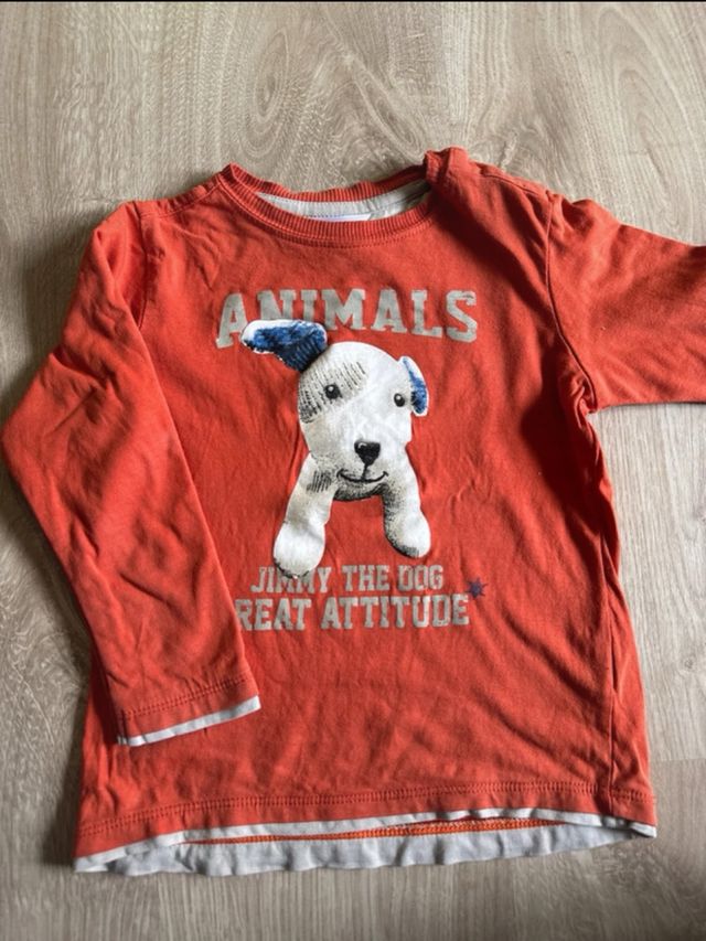 Lote Ropa 4 años: Sudadera y Camiseta