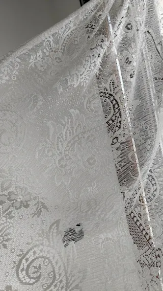 Tende in pizzo bianche