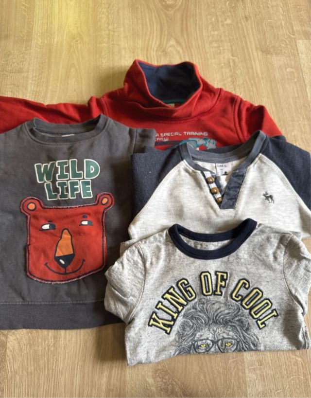 Lote Ropa Infantil 3 años (Camisetas, Sudaderas)