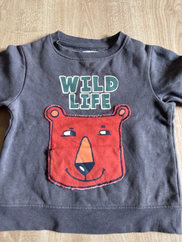 Lote Ropa Infantil 3 años (Camisetas, Sudaderas)