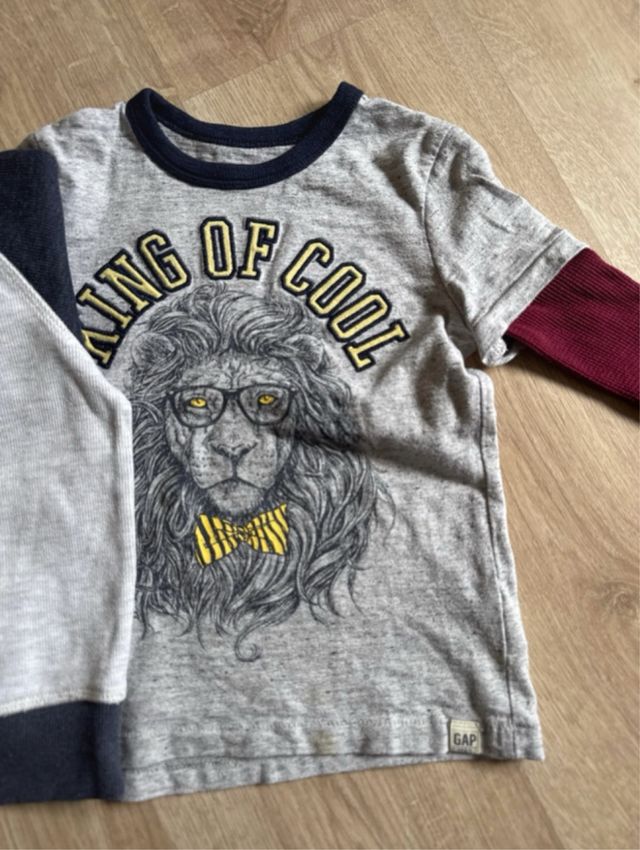 Lote Ropa Infantil 3 años (Camisetas, Sudaderas)