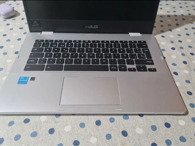 Asus Chromebook Plata 2024