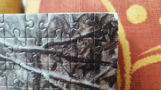 Puzzle Victoria Francés Felina 1000 piezas.