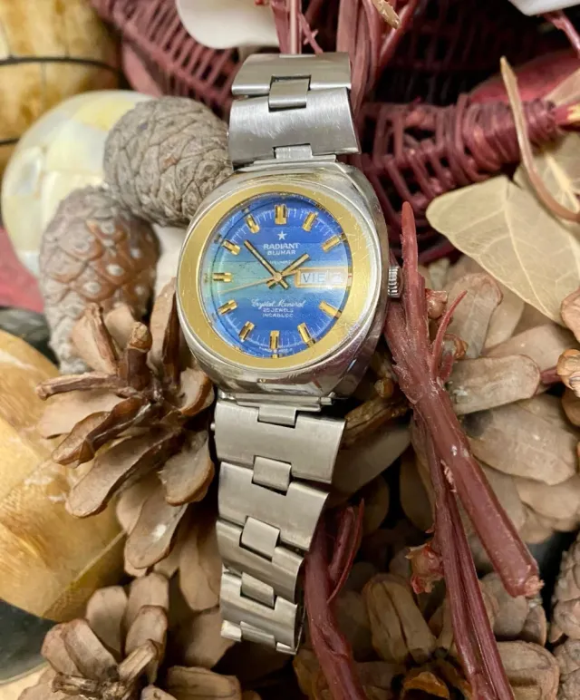 Orologio Automatico Radiant Blumar 25 Gioielli (UFO)