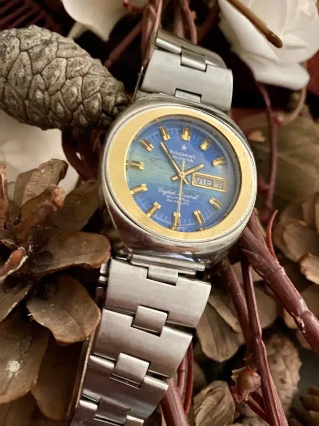 Orologio Automatico Radiant Blumar 25 Gioielli (UFO)