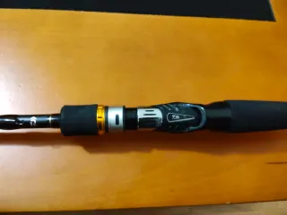 Caña Daiwa Exceler EX661MHFB-CF