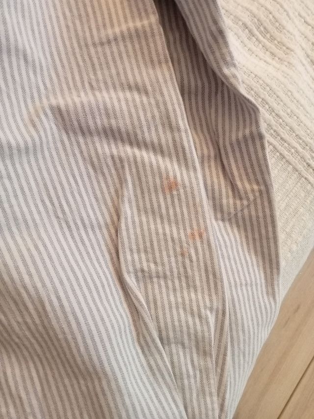 Camisa Polo Ralph Lauren Rayas