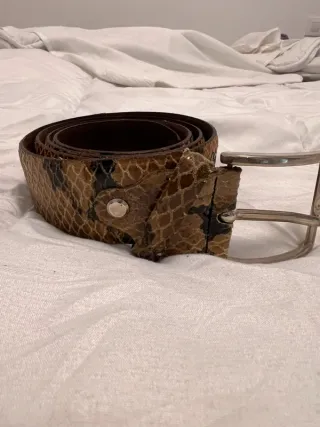 Cinturón de cuero auténtico estampado serpiente