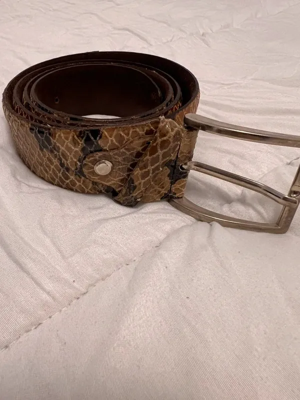 Cinturón de cuero auténtico estampado serpiente