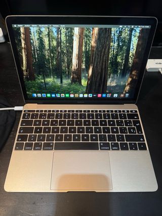 MacBook Retina 12 Oro