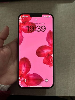 iPhone 13 Pro Max 256GB