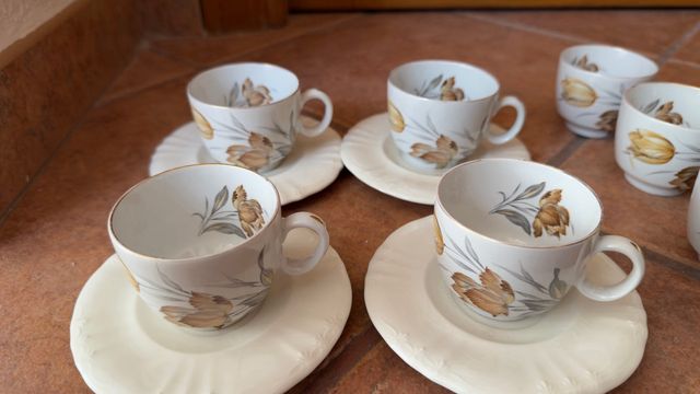 Juego de 4 tazas con plato de porcelana + 5 tazas