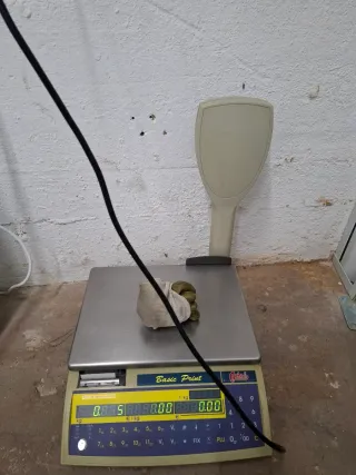 Báscula digital Basic Print