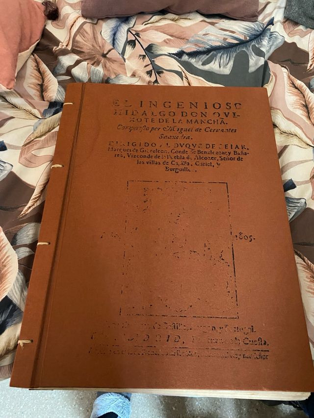 Don Quijote de la mancha ￼