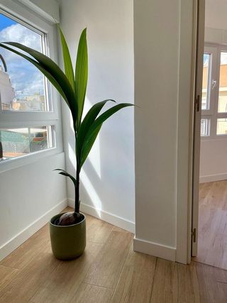 Piso en alquiler en Marquès de la Fontsanta - Pere Garau en Palma de Mallorca