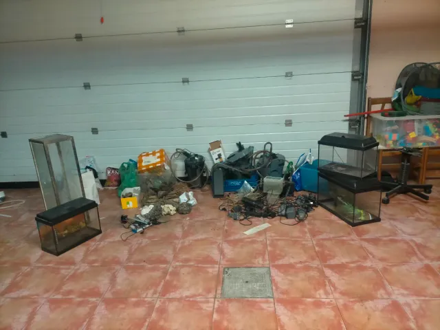 ! Chollo! Ven rápido. Lote acuarios y accesorios