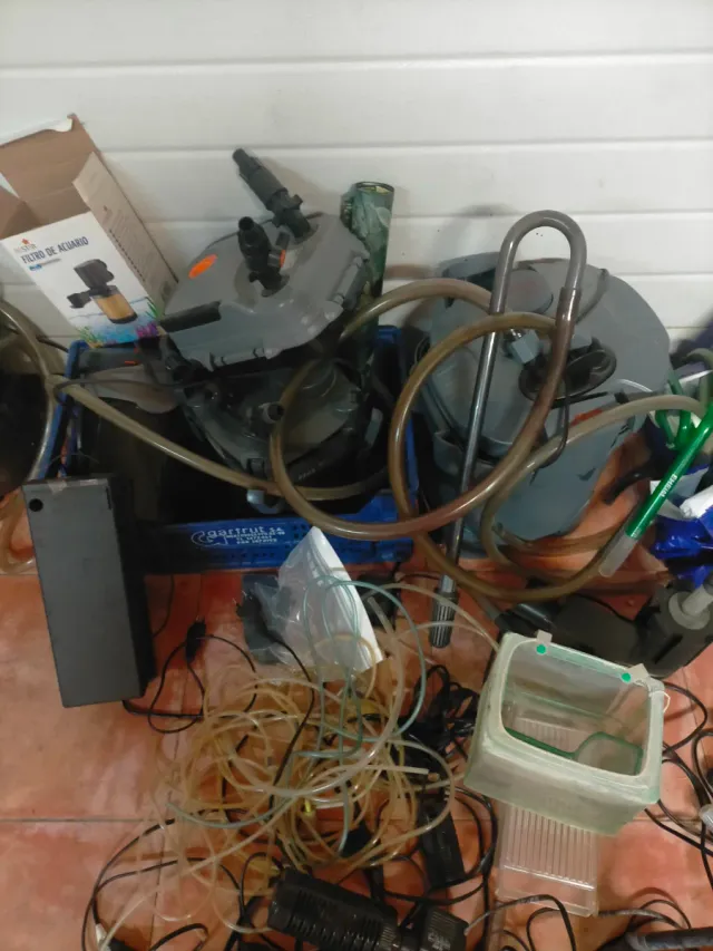 ! Chollo! Ven rápido. Lote acuarios y accesorios