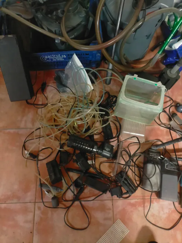 ! Chollo! Ven rápido. Lote acuarios y accesorios