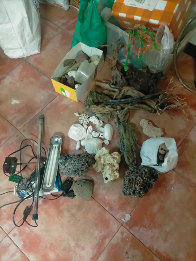 ! Chollo! Ven rápido. Lote acuarios y accesorios
