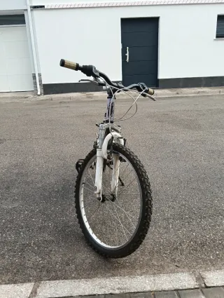 Bicicleta de montaña