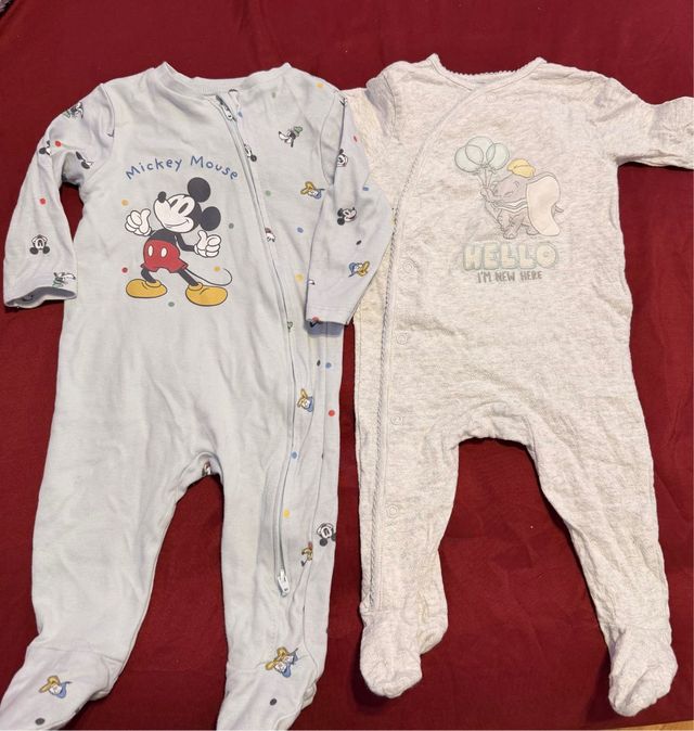 Lote Ropa Bebé Bodies Manga Larga y Corta