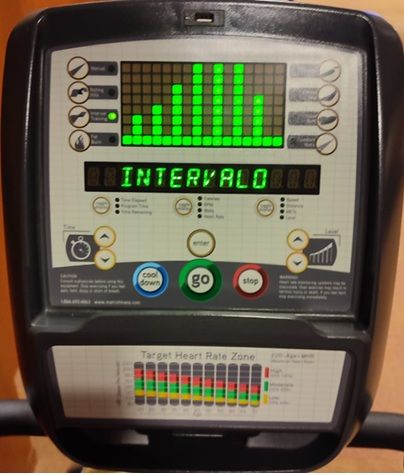 Bicicleta Reclinada Profesional Matrix