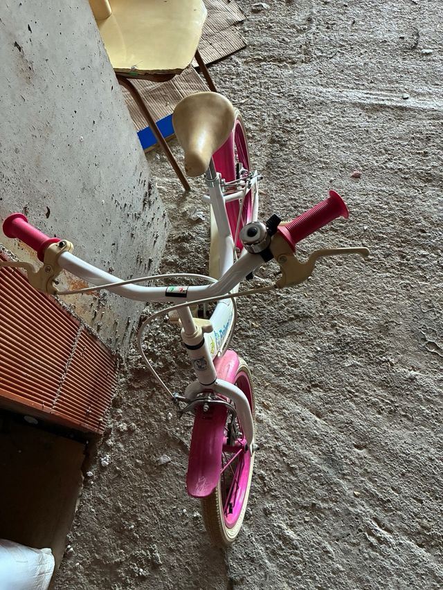 Bicicleta infantil niña