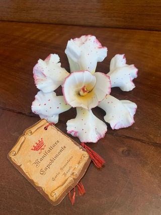 Manifatture Capodimonte Fiori Ceramica