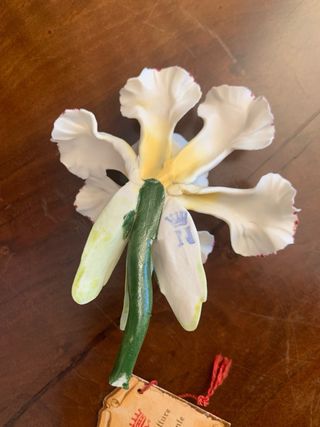 Manifatture Capodimonte Fiori Ceramica