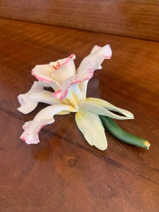 Manifatture Capodimonte Fiori Ceramica