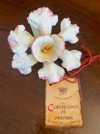 Manifatture Capodimonte Fiori Ceramica