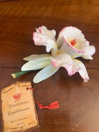 Manifatture Capodimonte Fiori Ceramica