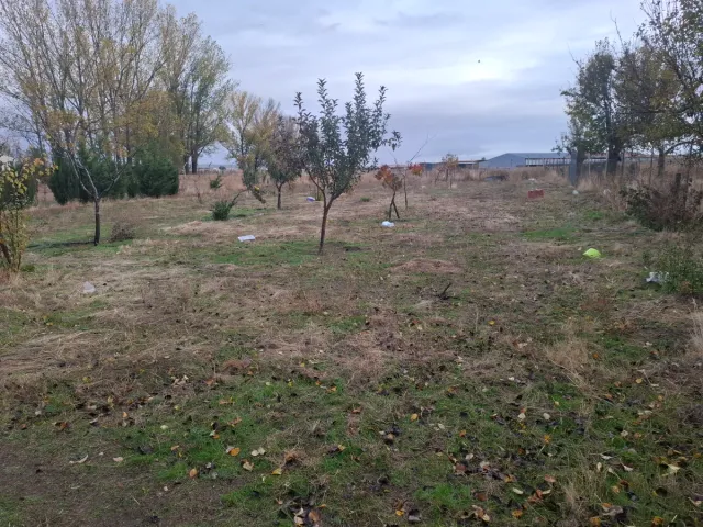 Finca de recreo ( aldea del rey niño)