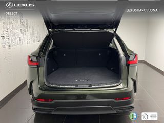 Lexus NX350h PREMIUM 2024 REF 2019