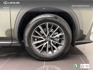 Lexus NX350h PREMIUM 2024 REF 2019
